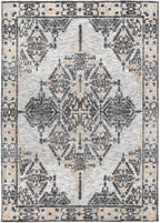 Amritsar Beas Charcoal & Beige Cotton Blend Rug