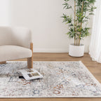 Bohemian Paradise Classic Vintage Grey Multi Rug - 09GMUL