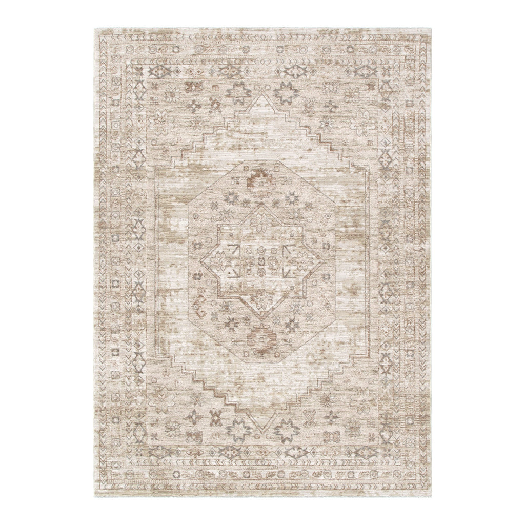 D101- Delphine Sahara Medallion Vintage Rug