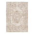 D101- Delphine Sahara Medallion Vintage Rug