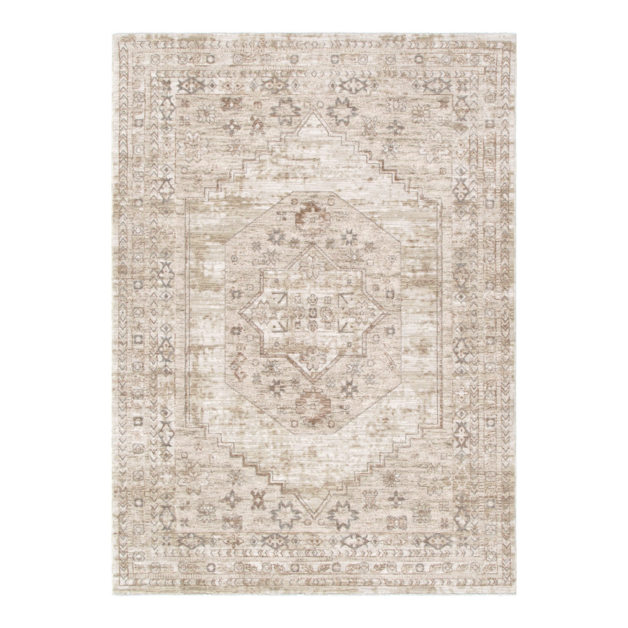 D101- Delphine Sahara Medallion Vintage Rug
