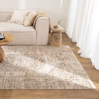 D101- Delphine Sahara Medallion Vintage Rug