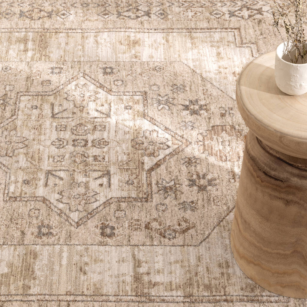 D101- Delphine Sahara Medallion Vintage Rug