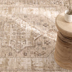 D101- Delphine Sahara Medallion Vintage Rug