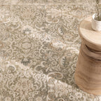 D102- Delphine Regal Green Beige Vintage Rug