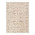 D103- Delphine Warm Biscotti Vintage Beige Rug