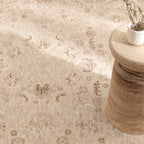 D103- Delphine Warm Biscotti Vintage Beige Rug