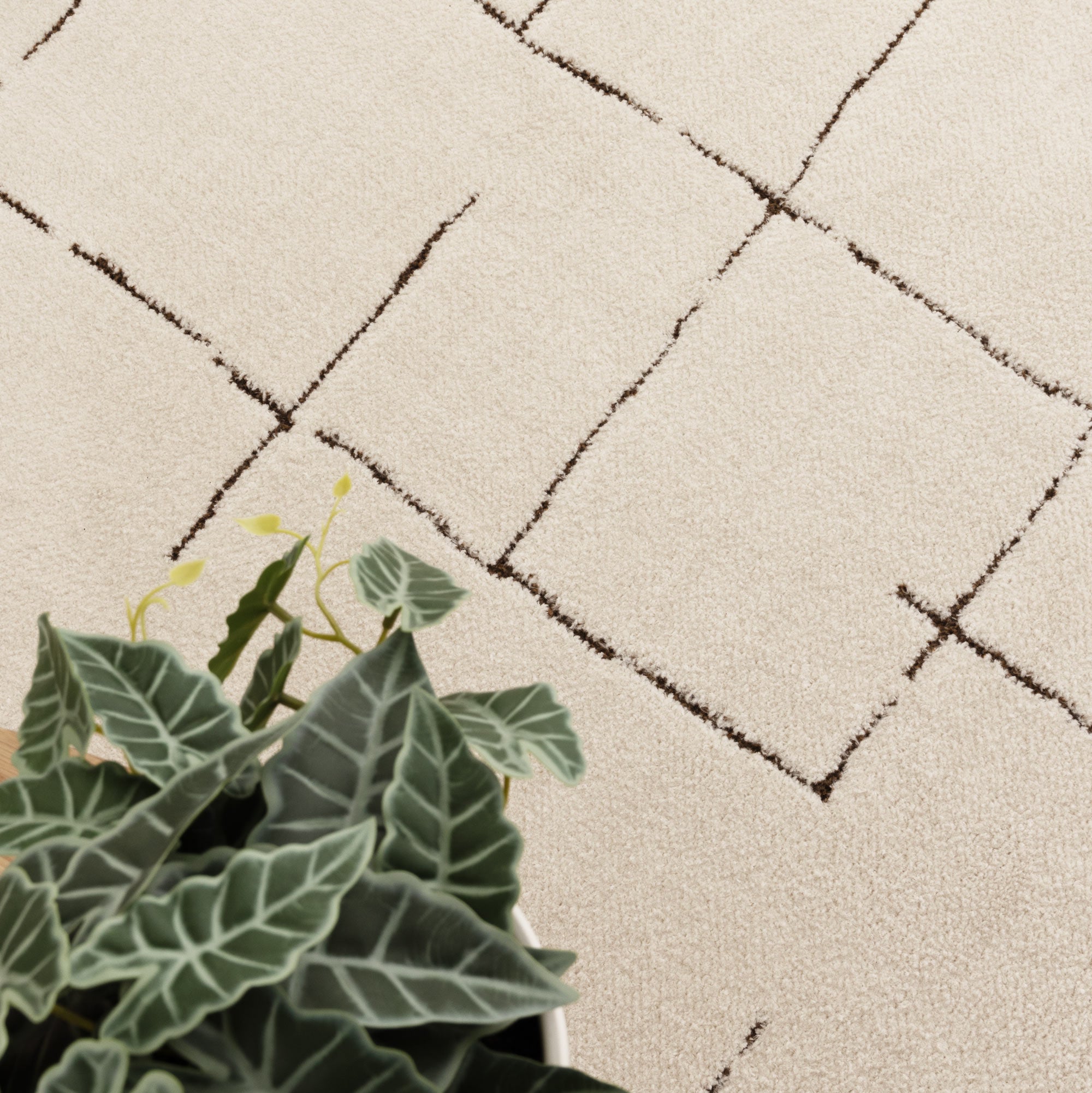 Mila Abstract Lines Brown Cream Rug - MIL10: New Arrival