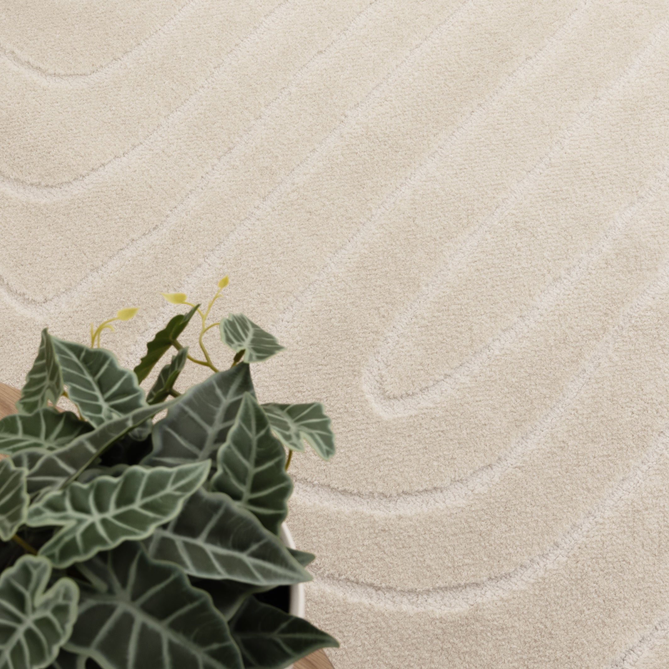 Mila Arch Lines Cream Rug - MIL7: New Arrival