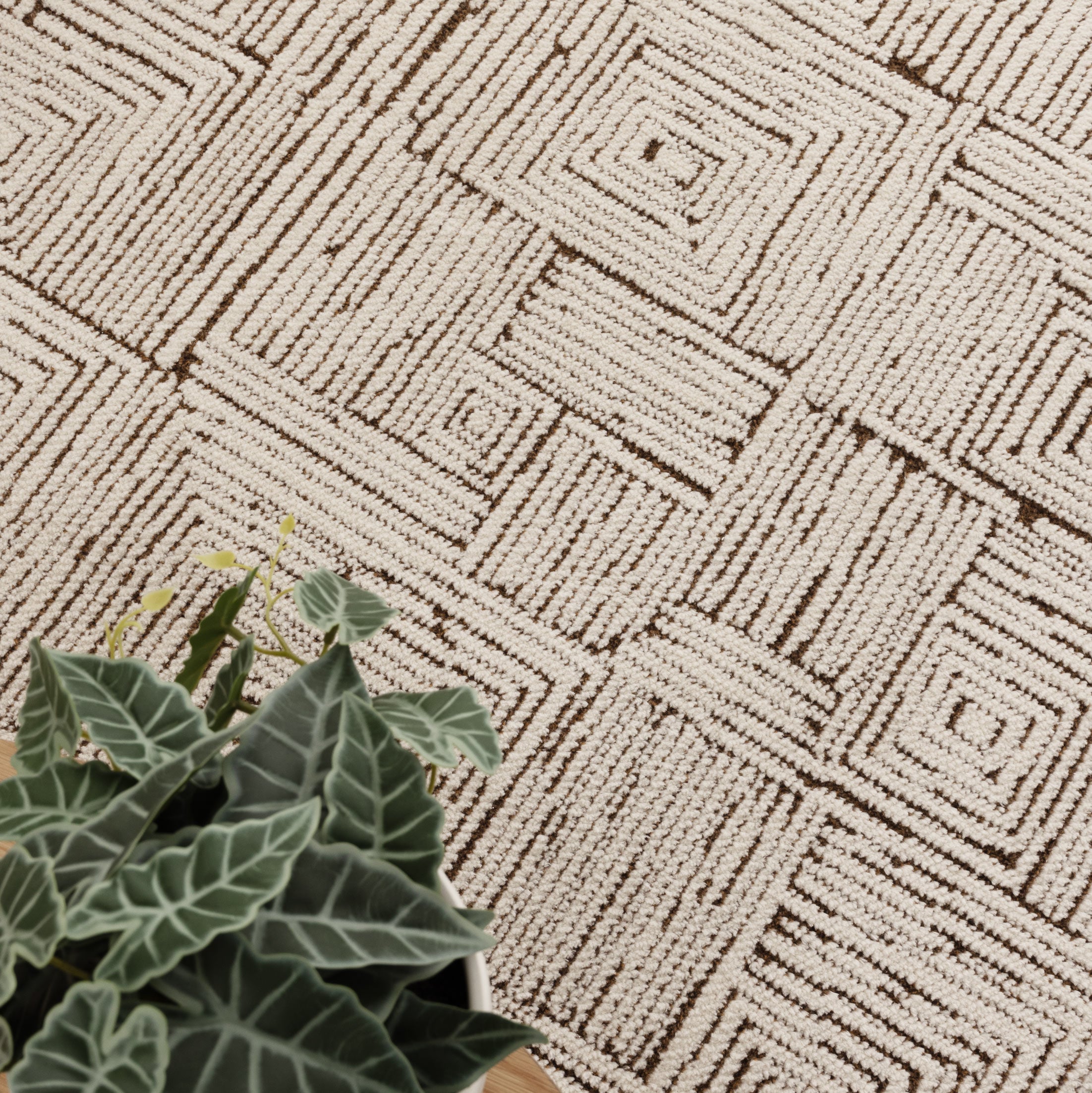 Mila Geometric Squares Cream Brown Rug - MIL8: New Arrival